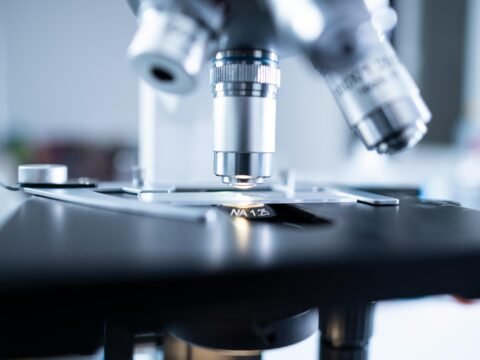 Micro vs Macro Economics: What’s the Difference?