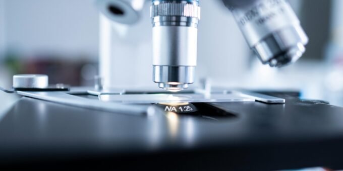 Micro vs Macro Economics: What’s the Difference?