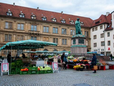 The Role of Government in a Market Economy Explained