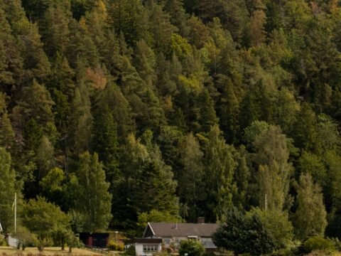 Refinancing Your Mortgage in 2025 – Is It Worth It?