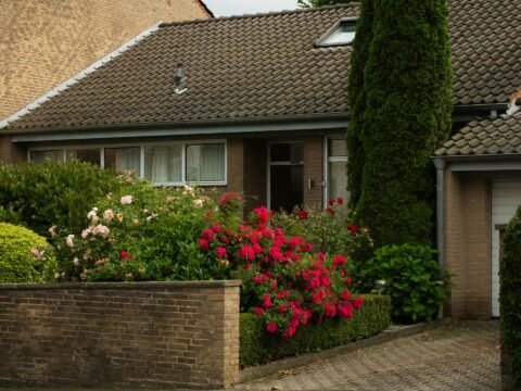 Common Myths About Real Estate Debunked