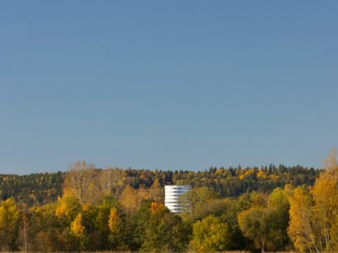 "Smart Investing Strategies for Beginners in 2025"