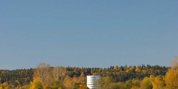 "Smart Investing Strategies for Beginners in 2025"