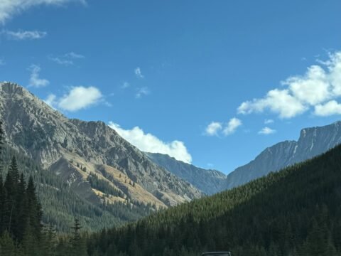 "Top Electric Vehicle Launches and Automotive News This Month"