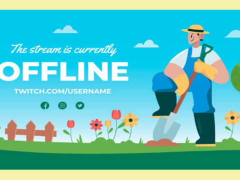 low maintenance garden