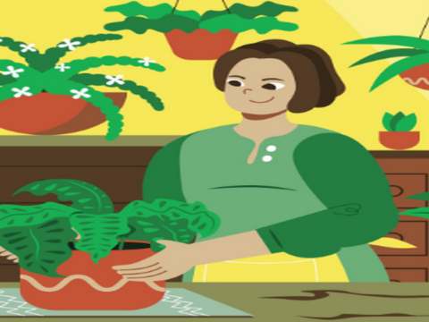 Grow Organic Vegetables Even in Small Spaces