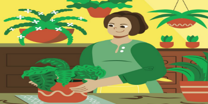 Grow Organic Vegetables Even in Small Spaces