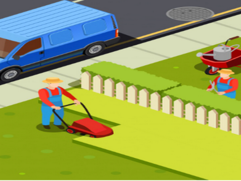 Maintain Your Lawn for a Lush