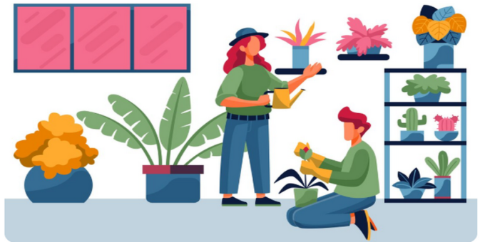 Choose the Right Indoor Plants for Any Room