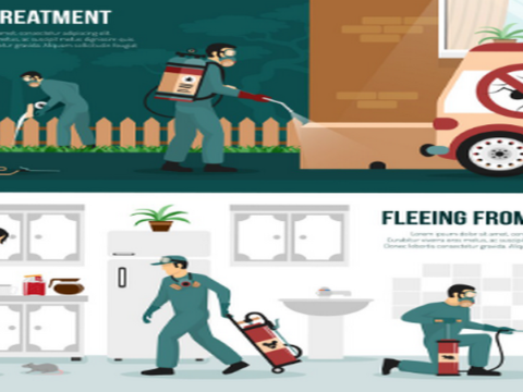 Protect Your Home and Garden From Pests Naturally