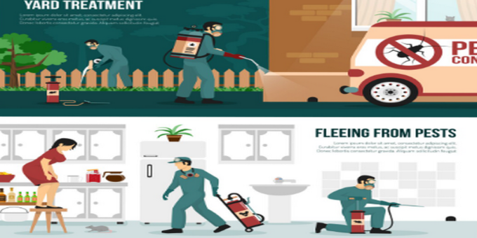 Protect Your Home and Garden From Pests Naturally